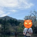 빈티지이문로20 이미지