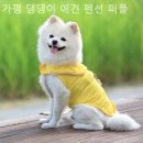 개인공간 애견펜션 이미지