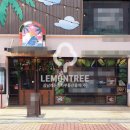 강남-115 이미지