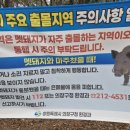 태양氣치유