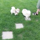 영취산 민박 이미지