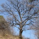 운암농로 이미지