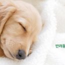 비앤지컴퍼니