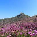 발자국 따라 우리 역사 이미지