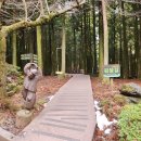 절물자연휴양림 이미지