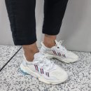 오렌지블루 이미지