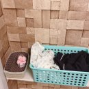엄지약손 - 일산 라페스타 마사지, 통증관리와 복부관리