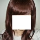 에스홀릭