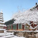 병영농장 | 고창 겨울 가볼만한곳, 고즈넉한 설경 명소 고창읍성