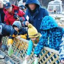 경남 글램핑추천 - 흙내음글램핑에서 1박2일 / 통영여행