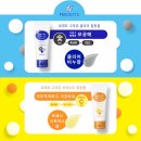 로제트 이미지