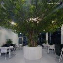 비비&숑숑 반려견펜션 이미지