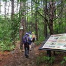 소백산 자락길 이미지