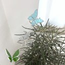 나비공방 이미지