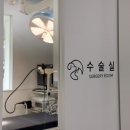 남양주동물병원
