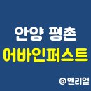 호원성호아파트경로당 | 평촌어바인퍼스트 아파트(안양) 부동산 임장 후기