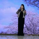 김수정 음악회 이미지