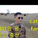 진실농장 이미지