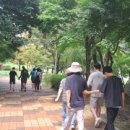 구갈레스피아 이미지