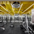 독립문체육관 이미지