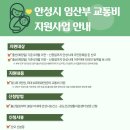 안성모자