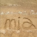 모평헌 | 옹골진 여행기 : 담양 죽림원-여수 낮바다-함평 모평헌-함평 나비 한우-톱머리해안