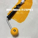 JOIN&JOY 스크린골프 | 프로임팩터 에이틴에이치 골프스윙연습기 후기 허석프로 출근길 레슨 보다가 입문
