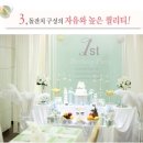 민트벨라 이미지