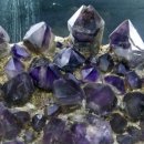 자수정백화점 이미지