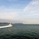 섬에 머물다 이미지