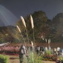 풍경스케치(야간) 이미지