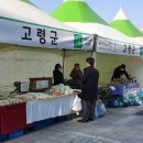 대구경북상생장터 이미지
