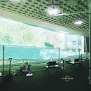 뉴비치골프연습장 이미지