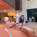 스위트펫 이미지