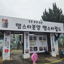 햄스터농장 이미지