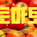 토마토휘트니스 이미지