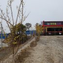 솔롱고 편의점 이미지