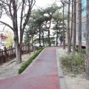 중앙 공인중개사사무소 이미지