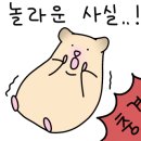 로던트 클럽 이미지