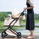 도그루아 이미지