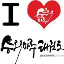 승리마루태권도 이미지