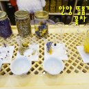 뜰봄갤러리