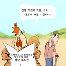 2025년02월26일수요일오늘의포토 뉴스 시사 만평 떡메 이미지