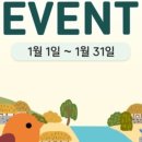 전집보고