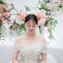 W.6 [비비안웨딩스냅 후기] 본식 스냅 후기 정리 / 얼리버드 + 추천 할인