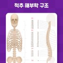 강남챔피언정형외과의원 이미지