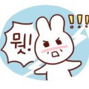 사계절조개찜 이미지