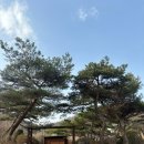 어은길 | [양평 독채펜션] 넓은 정원이 있는 양평 푸른정원펜션 가족모임