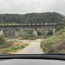 상보안세월교 이미지