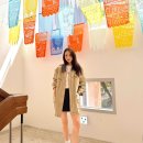 씨플러스(CPlus) 네이버블로그